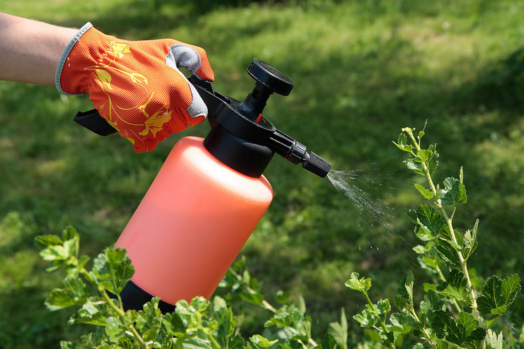 Biologiske produkter for plantevern mot ulike sykdommer