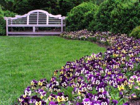 es ist ein Blumengarten - ideal für unerfahrene Floristen. Pflanzen des gleichen Typs werden in das Blumenbeet gepflanzt.