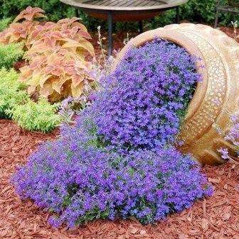 Überlegen Sie, was das Blumenbeet machen soll. Dies können Steine, Zäune, Ziegel oder sogar alte und unnötige Gegenstände sein. Ideal sind alte Krüge, Eimer oder andere Gefäße zum Pflanzen von Blumen.