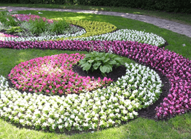 Beete mit verschiedenen Blumen blühen die ganze Saison von Frühling bis Herbst. Viele Fotos