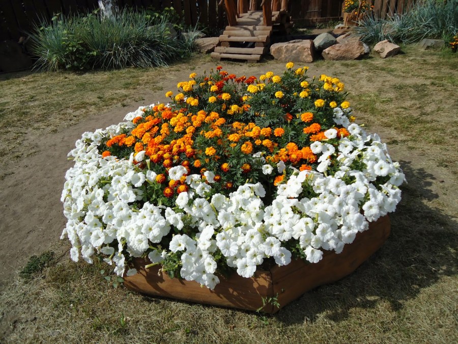 Hvordan lage et blomsterbed med egne hender