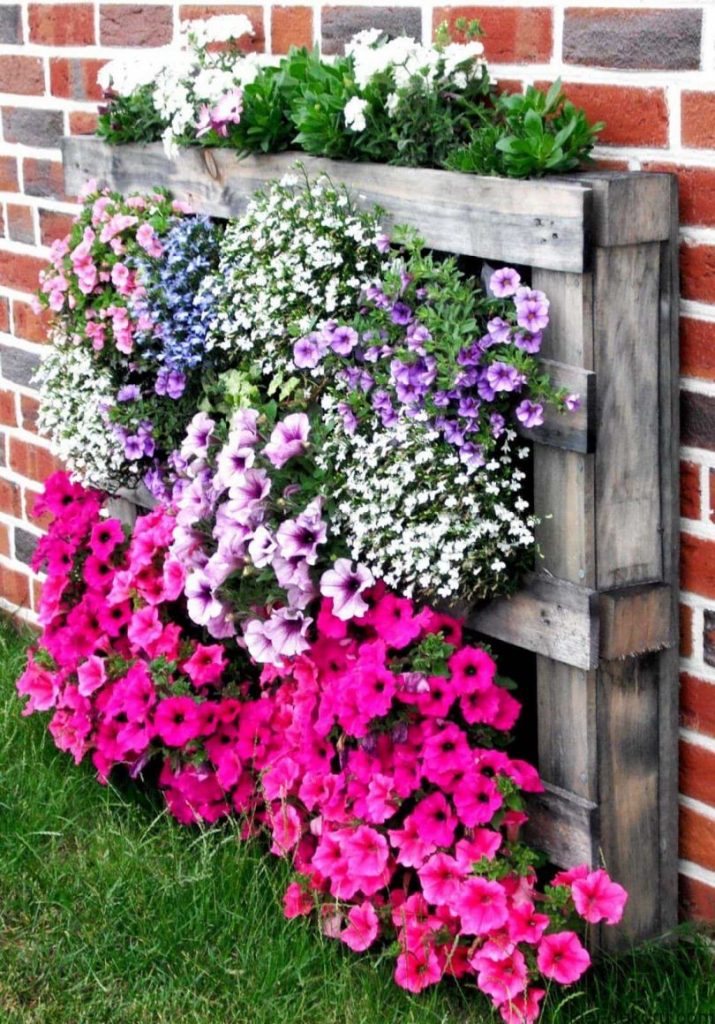 Hvordan lage et blomsterbed med egne hender