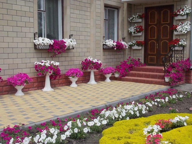 blomster i potter og potter på en brosteinsbelagt gårdsplass