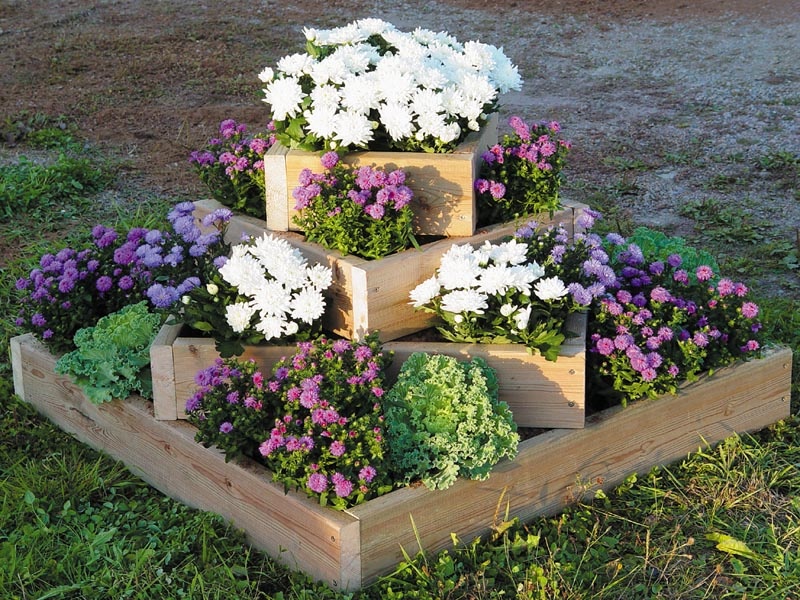 Hvordan lage et blomsterbed med egne hender