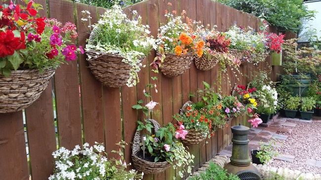 Blomster i hengende potter