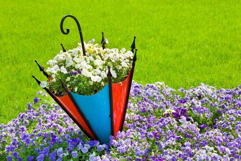 En blomsterbed-paraply laget av kryssfiner eller plast vil tjene deg lenge