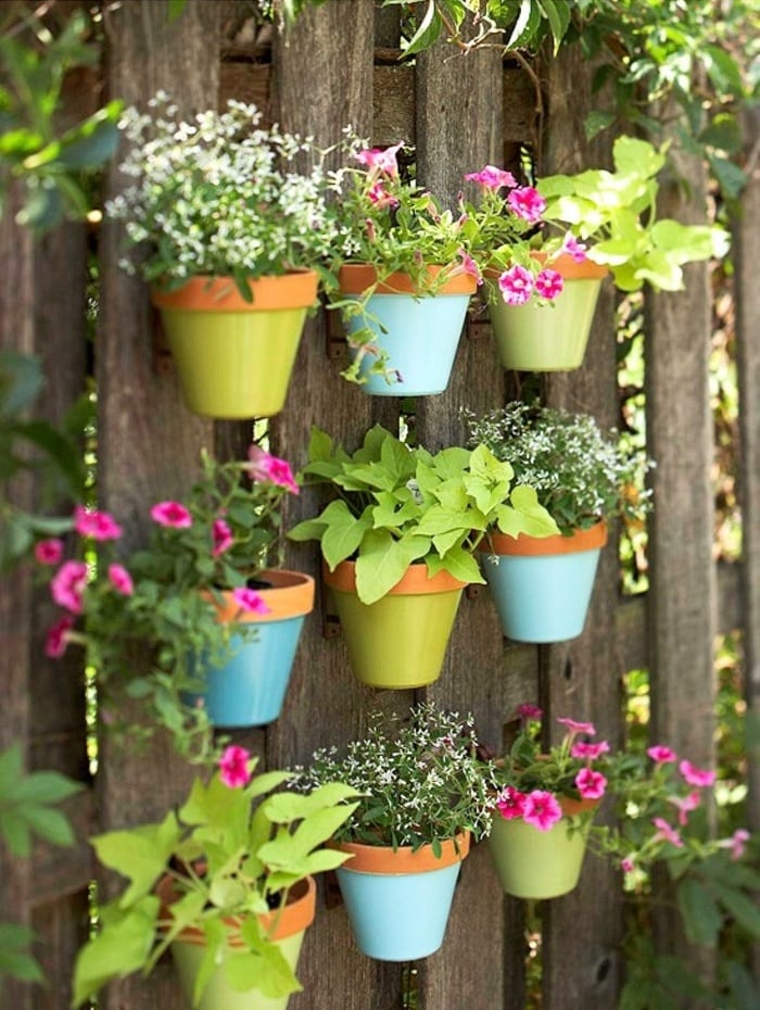 Hengende blomsterpotter i kort avstand mellom seg selv, kan du få en slags hekk