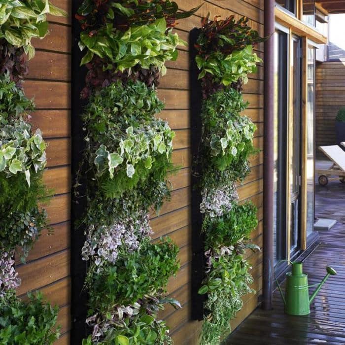 Vertikale blomsterbed på fasaden til hjemmet ditt vil understreke dets individualitet