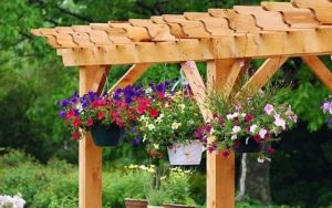 Vakre blomster i hagen