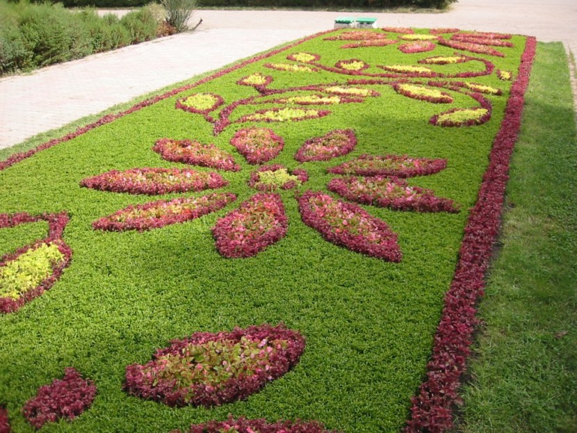 Blomsterhager i landet: typer, hvordan du gjør det selv, planteskjemaer med navn