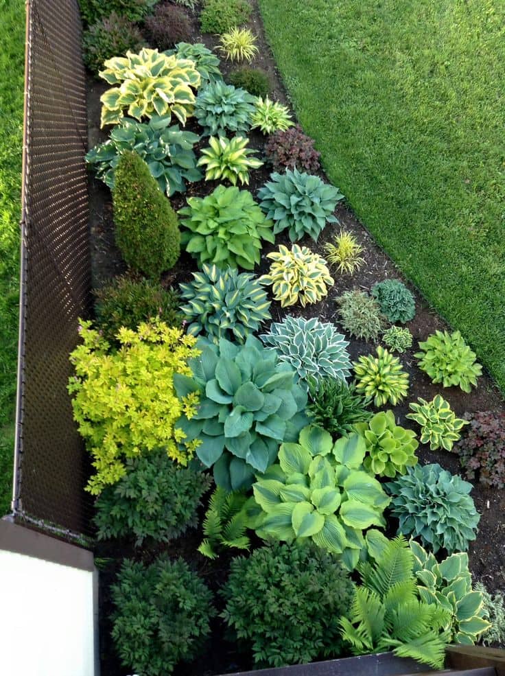 Praktisk arrangement av et blomsterbed med vakre flerårige planter