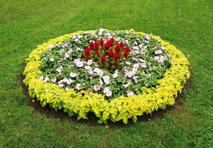 Hvordan lage et blomsterbed med egne hender