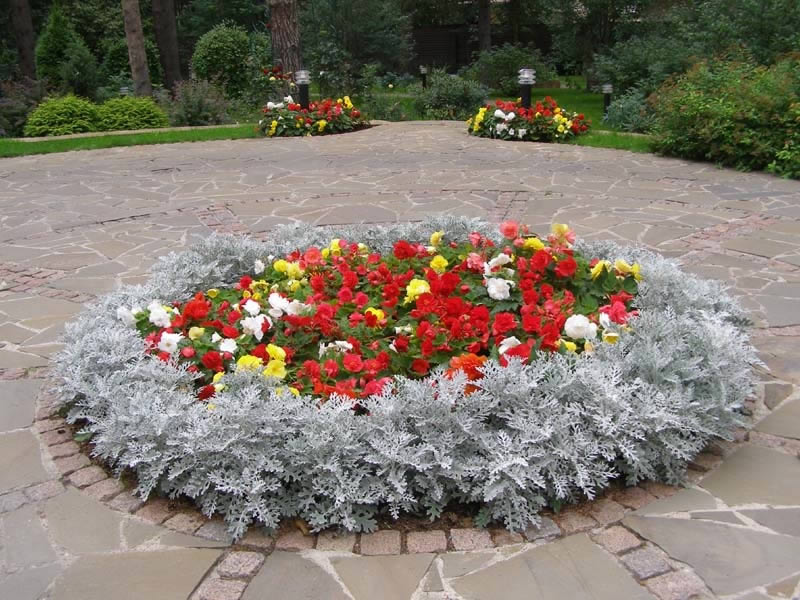 Hvordan lage et blomsterbed med egne hender