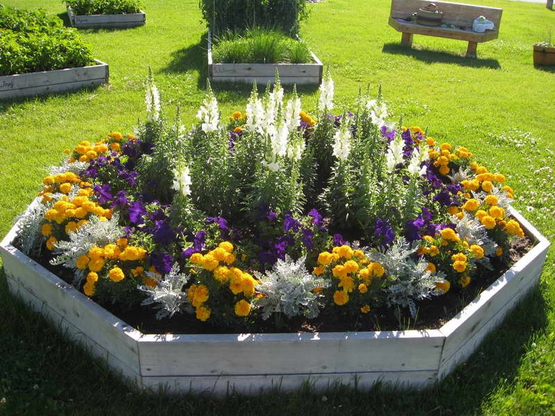 Hvordan lage et blomsterbed med egne hender