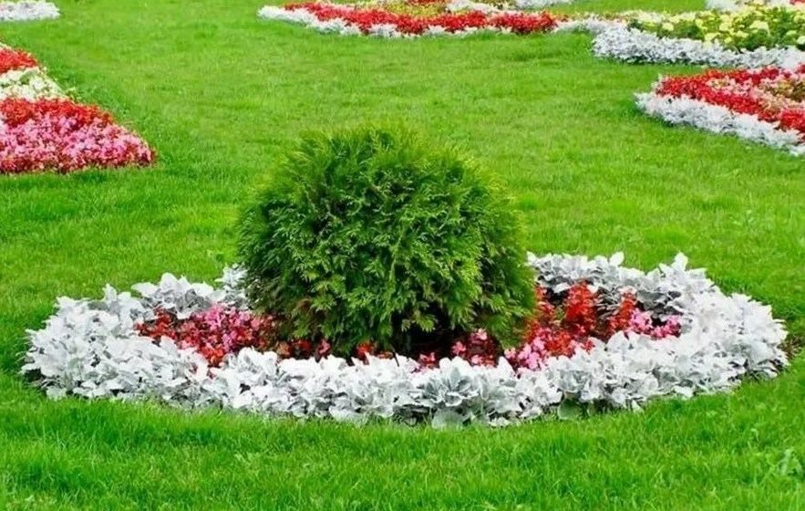Hvordan lage et blomsterbed med egne hender
