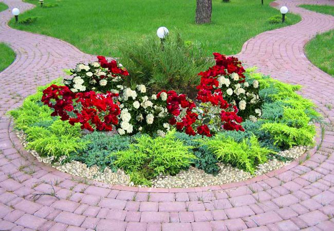 Blomsterhager i landet: typer, hvordan du gjør det selv, planteskjemaer med navn