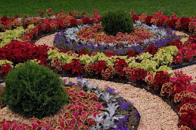 Blomsterhager i landet: typer, hvordan du gjør det selv, planteskjemaer med navn