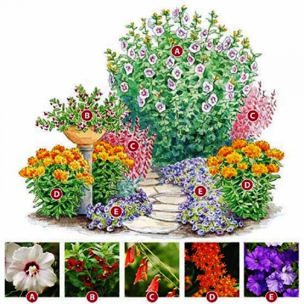 Blomsterhager i landet: typer, hvordan du gjør det selv, planteskjemaer med navn