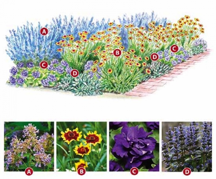 Blomsterhager i landet: typer, hvordan du gjør det selv, planteskjemaer med navn