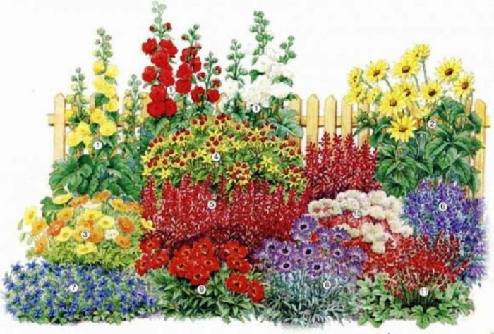 Blomsterhager i landet: typer, hvordan du gjør det selv, planteskjemaer med navn