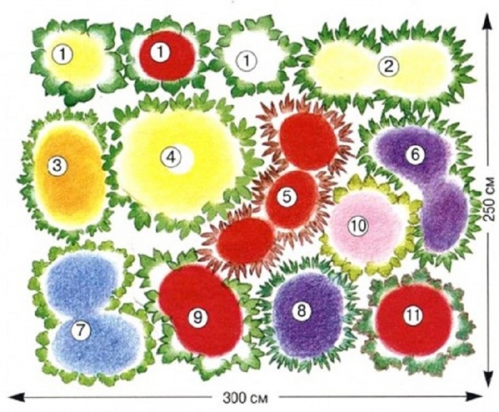 Květinové zahrady v zemi: typy, jak to udělat sami, výsadba schémat se jmény