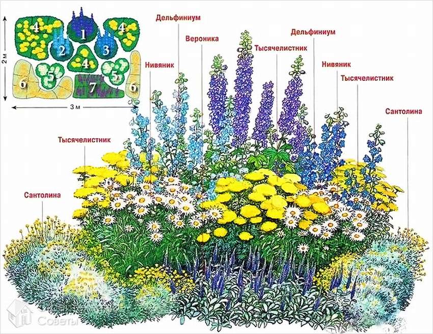 foto: ordningen med en kontinuerlig blomstrende blandingsgrense
