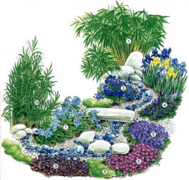 Blomsterhager i landet: typer, hvordan du gjør det selv, planteskjemaer med navn