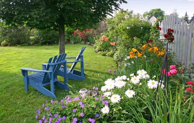 Blomsterhager i landet: typer, hvordan du gjør det selv, planteskjemaer med navn