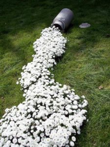 Blomsterhager i landet: typer, hvordan du gjør det selv, planteskjemaer med navn