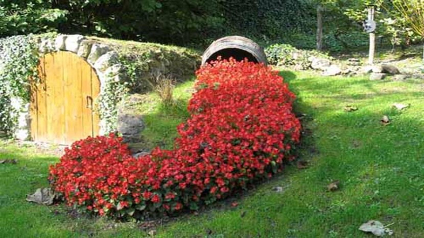 Blomsterhager i landet: typer, hvordan du gjør det selv, planteskjemaer med navn