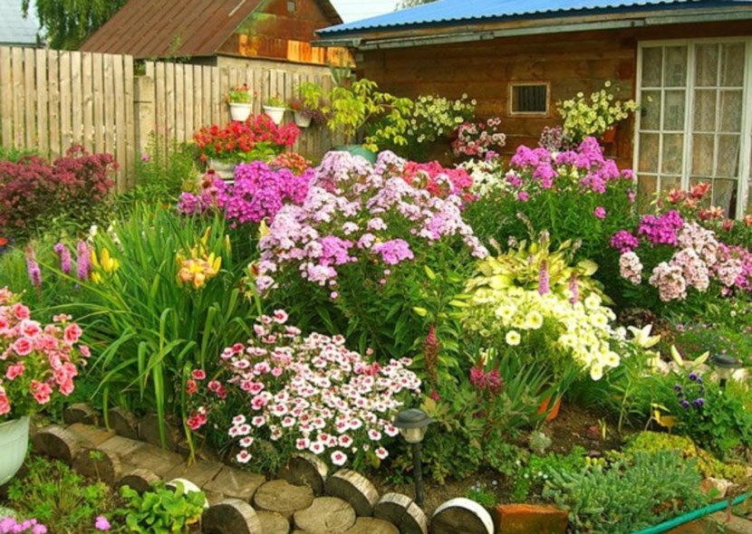Blomsterhager i landet: typer, hvordan du gjør det selv, planteskjemaer med navn