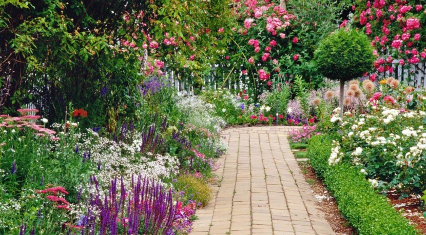 Blomsterhager i landet: typer, hvordan du gjør det selv, planteskjemaer med navn