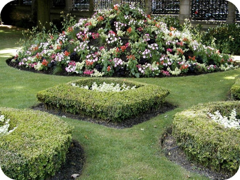 Blomsterhager i landet: typer, hvordan du gjør det selv, planteskjemaer med navn