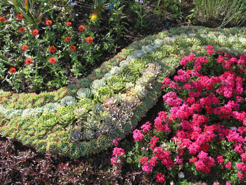 Blomsterhager i landet: typer, hvordan du gjør det selv, planteskjemaer med navn