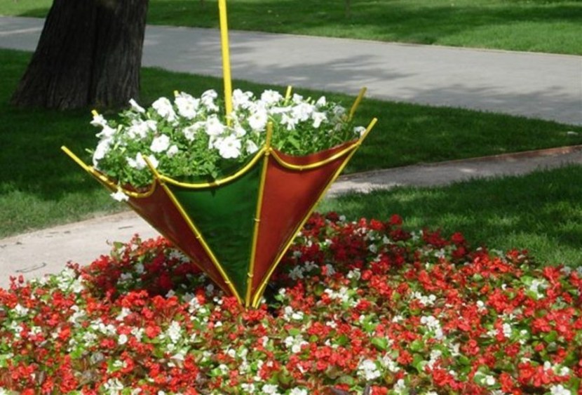 Blomsterhager i landet: typer, hvordan du gjør det selv, planteskjemaer med navn