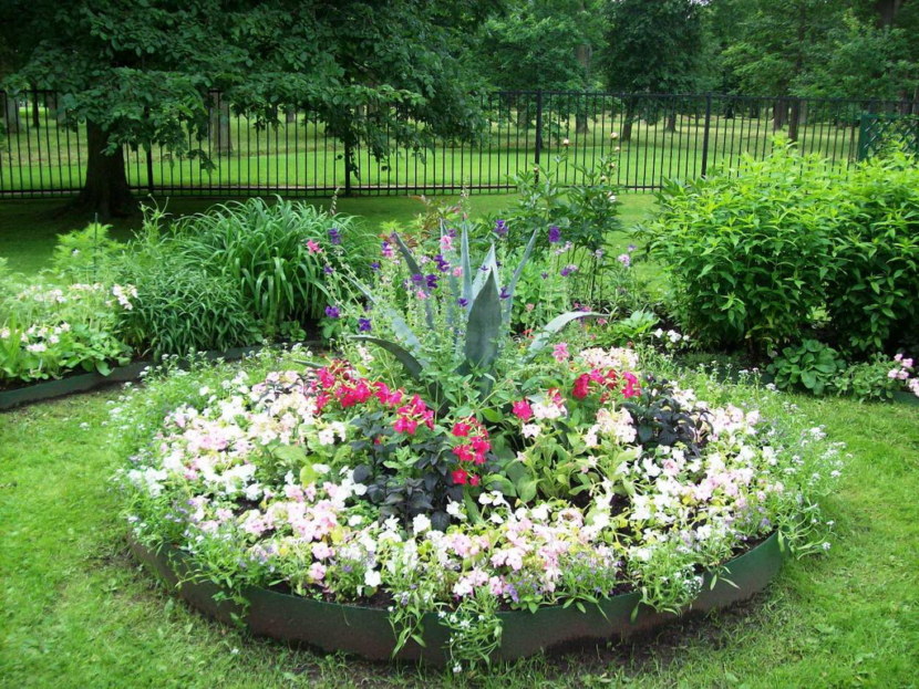 Blomsterhager i landet: typer, hvordan du gjør det selv, planteskjemaer med navn