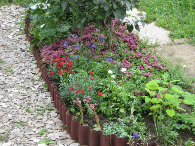Blomsterhager i landet: typer, hvordan du gjør det selv, planteskjemaer med navn