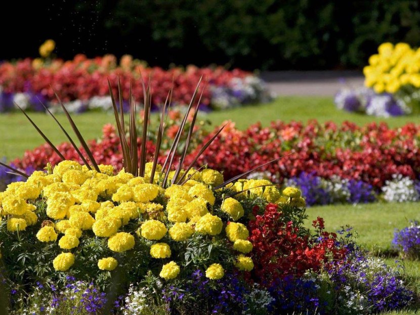 Blomsterhager i landet: typer, hvordan du gjør det selv, planteskjemaer med navn