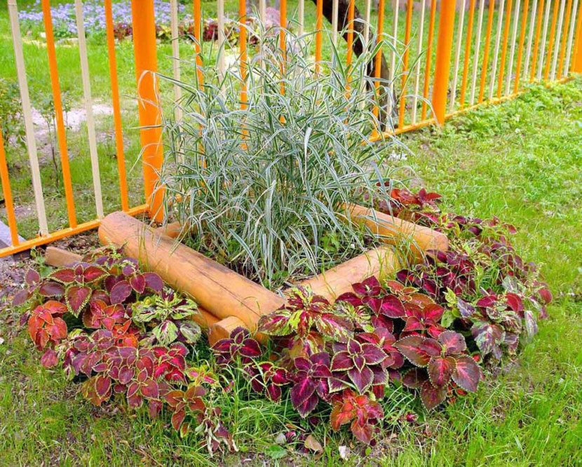 Blomsterhager i landet: typer, hvordan du gjør det selv, planteskjemaer med navn