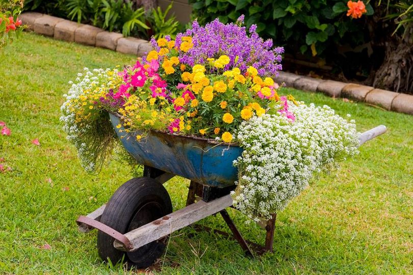 Hvordan lage et blomsterbed med egne hender