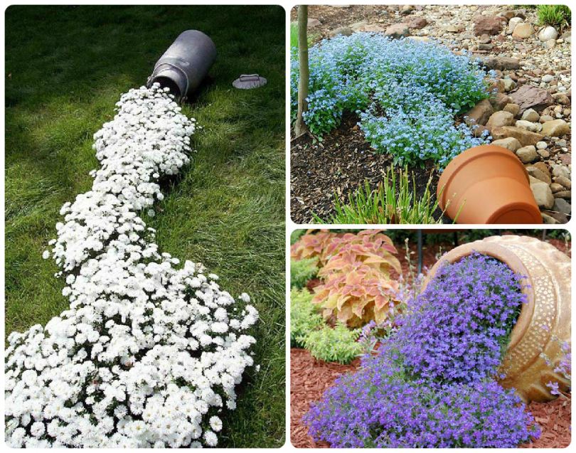 Hvordan lage et blomsterbed med egne hender