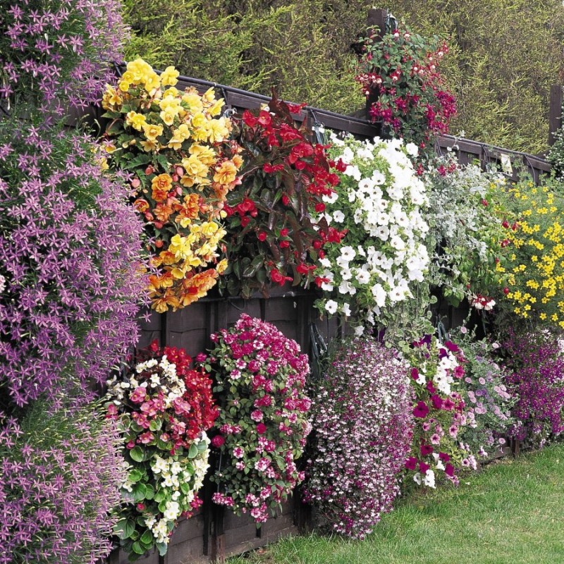 Hvordan lage et blomsterbed med egne hender