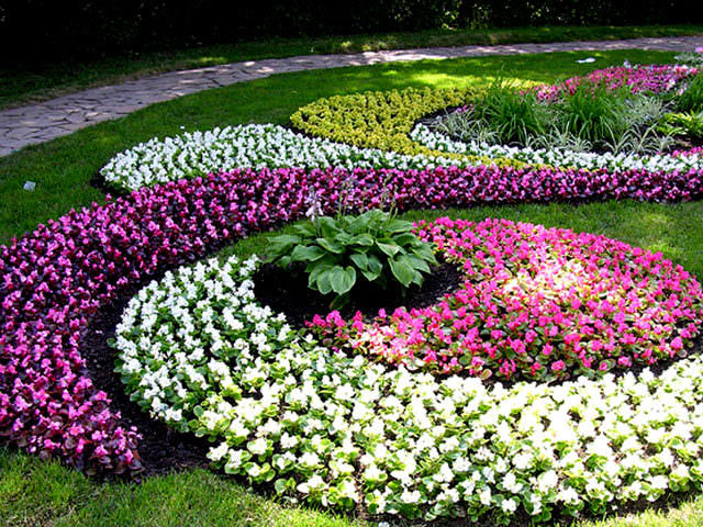 Hvordan lage et blomsterbed med egne hender