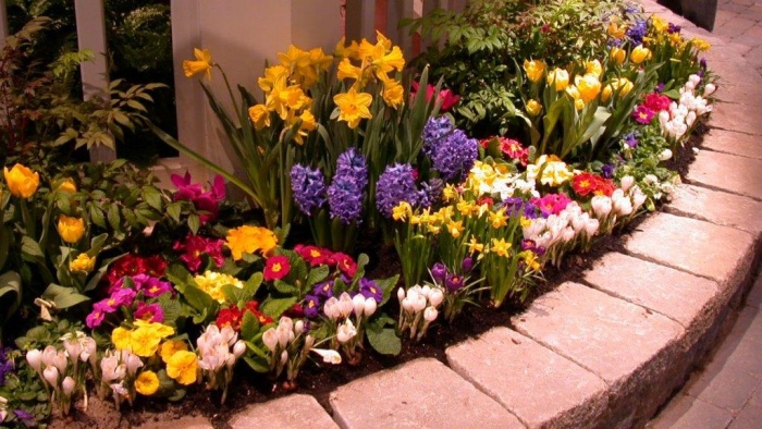 Blomsterhager i landet: typer, hvordan du gjør det selv, planteskjemaer med navn