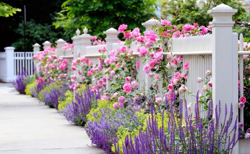 Hvordan lage et blomsterbed med egne hender