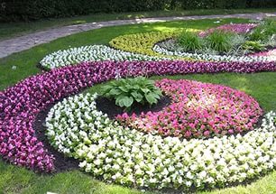 Blomsterhager i landet: typer, hvordan du gjør det selv, planteskjemaer med navn