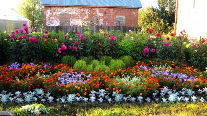 Blomsterhager i landet: typer, hvordan du gjør det selv, planteskjemaer med navn