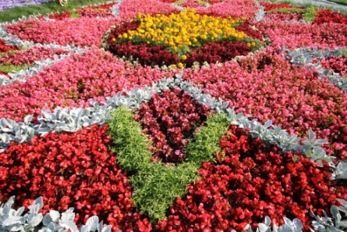 Blomsterhager i landet: typer, hvordan du gjør det selv, planteskjemaer med navn