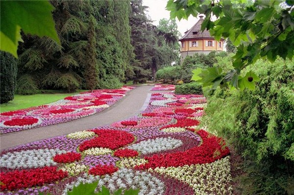 Blomsterhager i landet: typer, hvordan du gjør det selv, planteskjemaer med navn