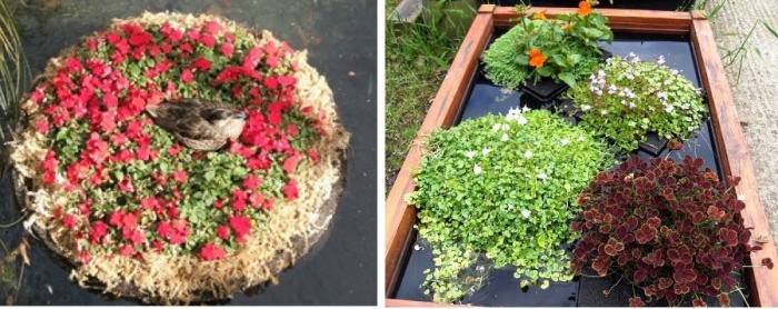 Blomsterhager i landet: typer, hvordan du gjør det selv, planteskjemaer med navn